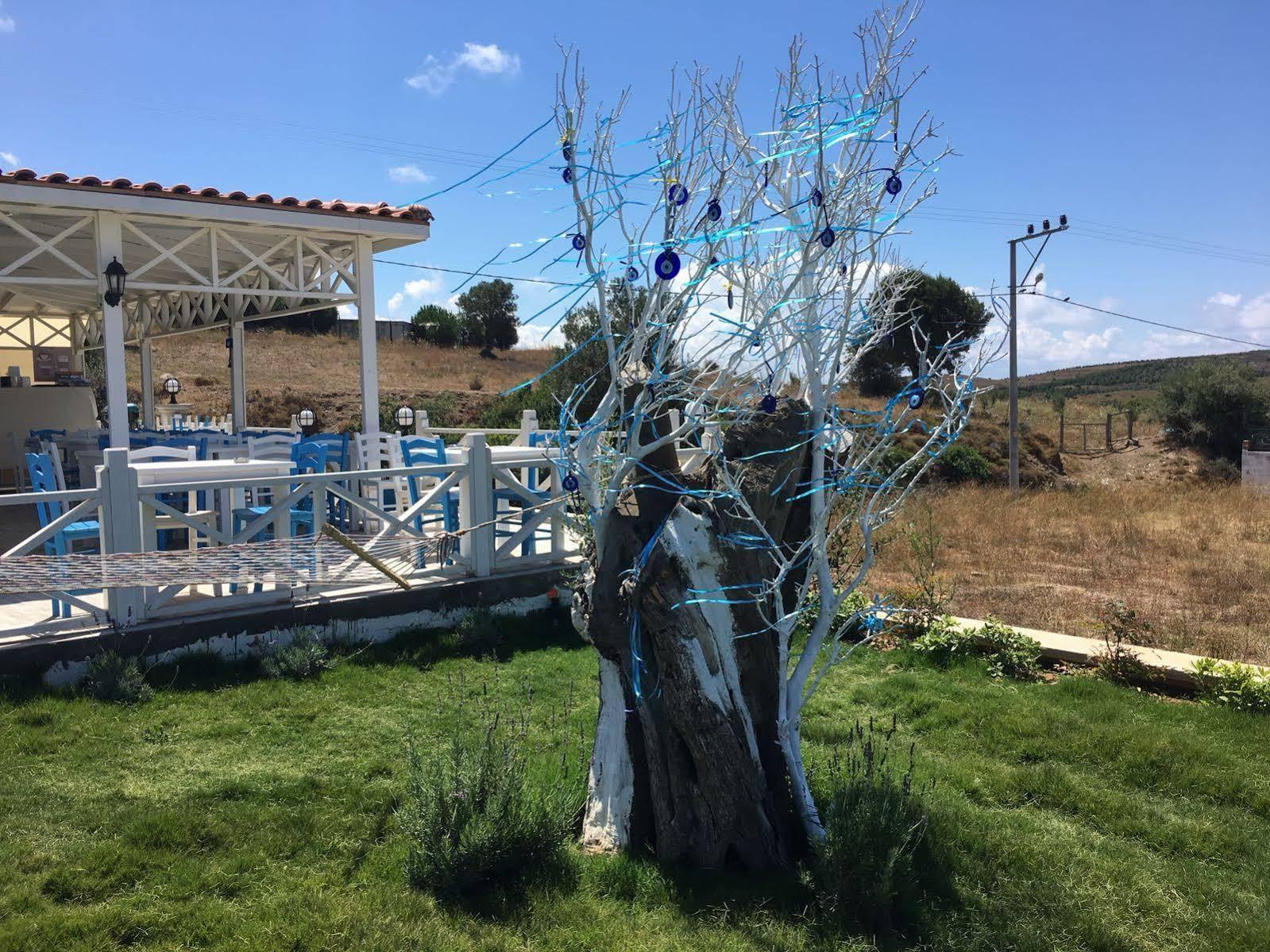 Mylos Hotel Τένεδος Εξωτερικό φωτογραφία
